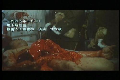 黑太阳731电影,揭露二战日军罪行的人间炼狱